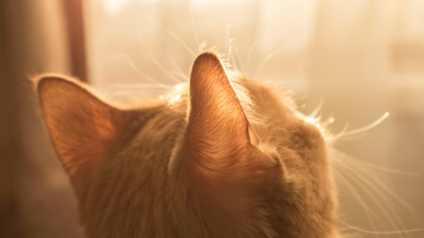 Kristina yadykina unsplash